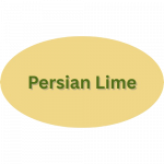 Persian Lime Olive Oil Flavor